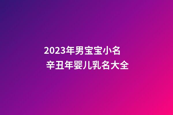 2023年男宝宝小名 辛丑年婴儿乳名大全